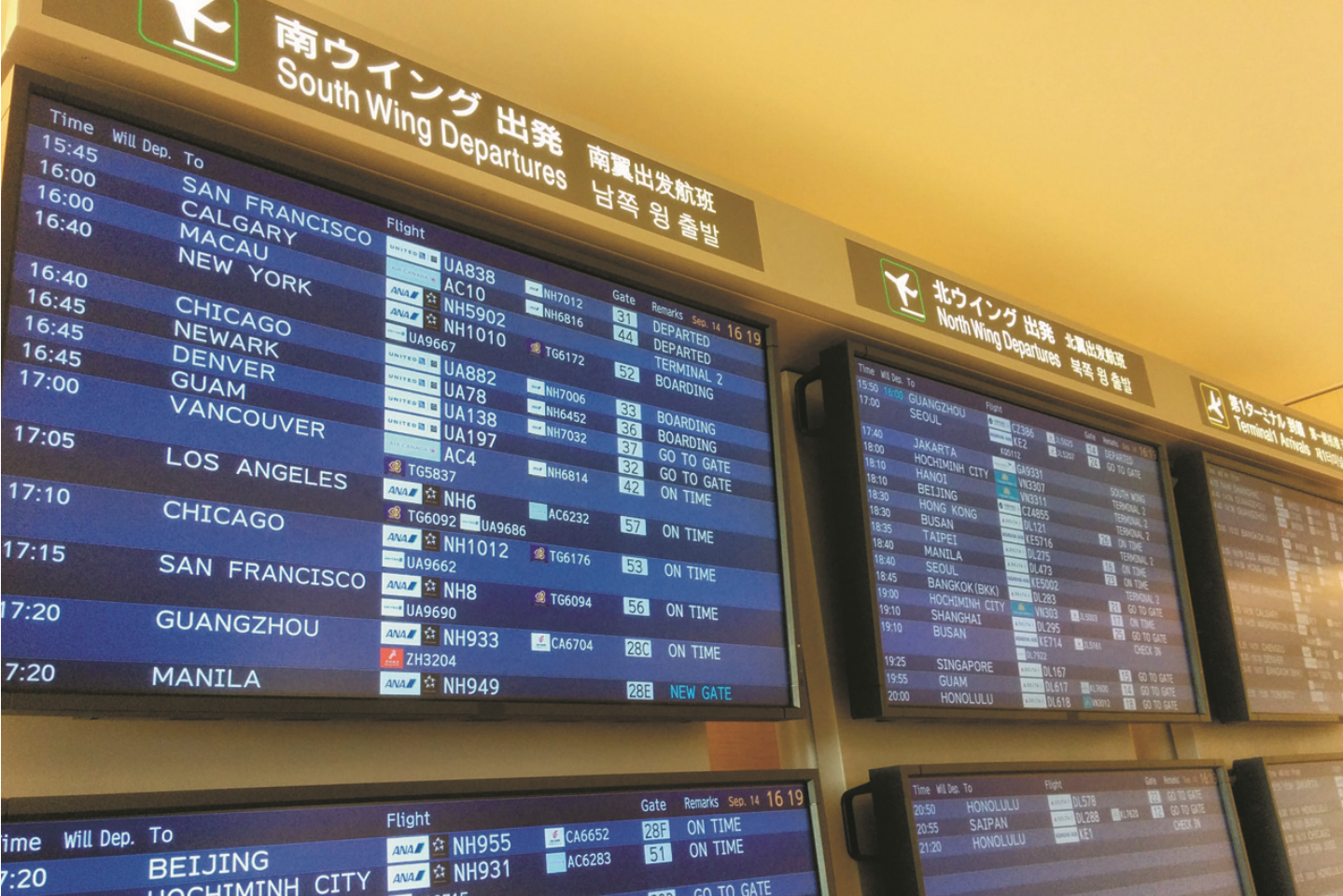 初期設定費用無料南海国際旅行「BTOL/ビートル」